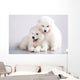 Two Funny Puppies Samoyed Wall Mural