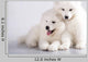 Two Funny Puppies Samoyed Wall Mural