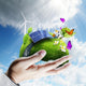 Green Earth in Hand Concept Wall Mural