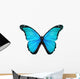 Morpho turquoise butterfly , isolated on white Wall Decal