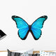 Morpho turquoise butterfly , isolated on white Wall Decal