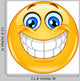 Big Smile Emoticon