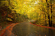 Autumn Landscape with Road