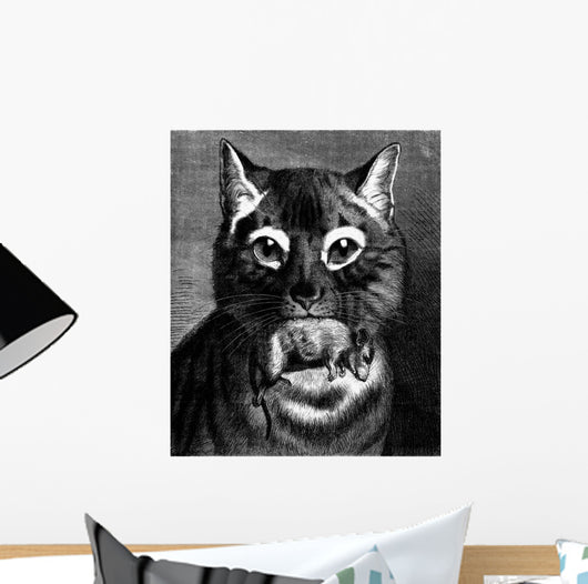 Hunt Cat Amp Mouse