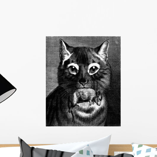 Hunt Cat Amp Mouse