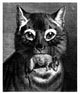 Hunt Cat Amp Mouse