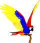 Macaw Bird Wall Decal