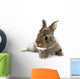 Gray Rabbit Bunny Baby Wall Decal