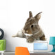 Gray Rabbit Bunny Baby Wall Decal