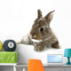 Gray Rabbit Bunny Baby Wall Decal