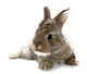 Gray Rabbit Bunny Baby Wall Decal