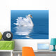 Swan Wall Mural