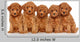 Toy Poodle Puppies White