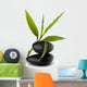Zen Pebbles Balance Spa