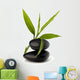 Zen Pebbles Balance Spa