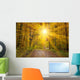 Sun Autumn Forest Swabian
