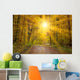 Sun Autumn Forest Swabian