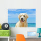 Dog Beach Golden Retriever Wall Mural