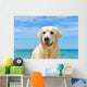 Dog Beach Golden Retriever Wall Mural