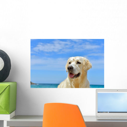 Dog Beach Golden Retriever Wall Mural