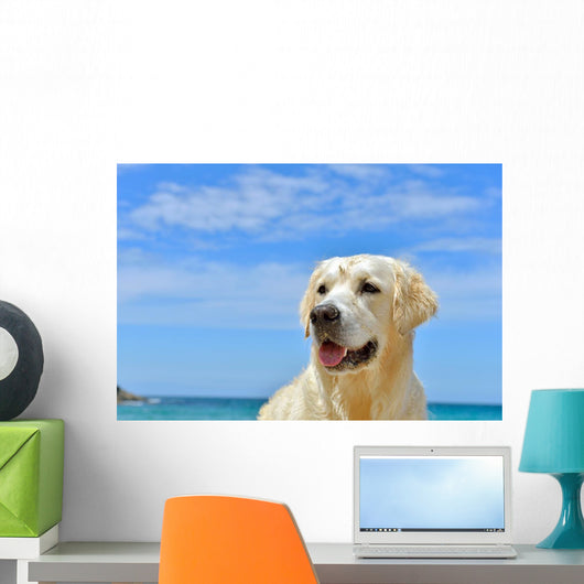 Dog Beach Golden Retriever Wall Mural