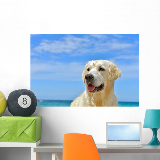 Dog Beach Golden Retriever Wall Mural