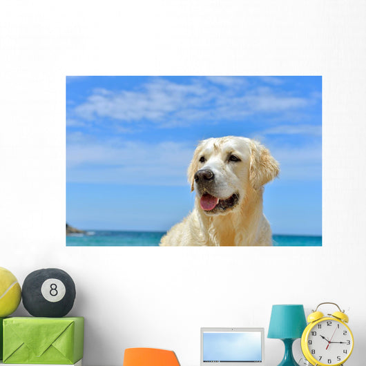 Dog Beach Golden Retriever Wall Mural