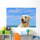 Dog Beach Golden Retriever Wall Mural