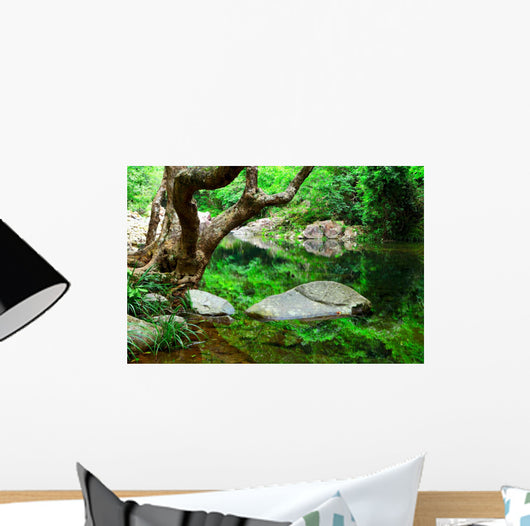 Tree and Water Jungle