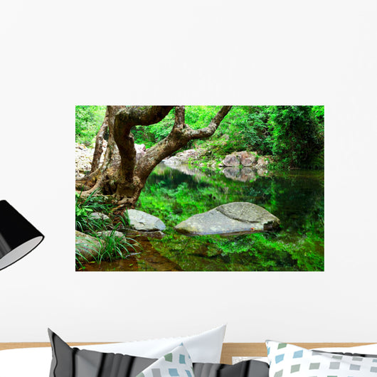 Tree and Water Jungle