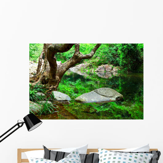 Tree and Water Jungle