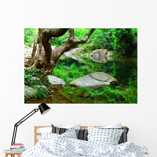 Tree and Water Jungle