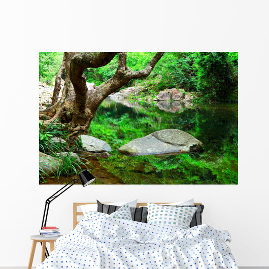 Tree and Water Jungle