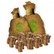 Bags and Stack Coins