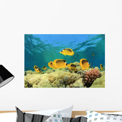 Tropical Fish Coral Reef shown on a wall