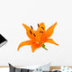 Orange lily Wall Decal