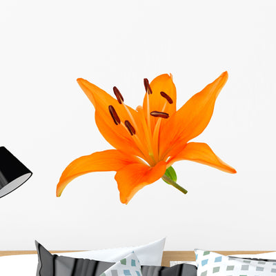 Orange Lily Wall Decal shown on a wall