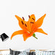 Orange lily Wall Decal