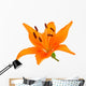 Orange lily Wall Decal