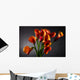 Orange Calla Lily Zantedeschia