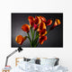 Orange Calla Lily Zantedeschia