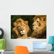 twin lions sunbathing Wall Mural