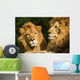 twin lions sunbathing Wall Mural