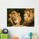 twin lions sunbathing Wall Mural