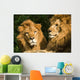 twin lions sunbathing Wall Mural