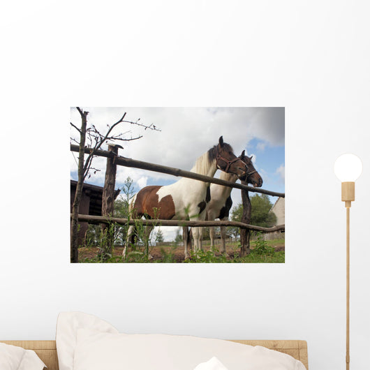 Horses Wall Mural