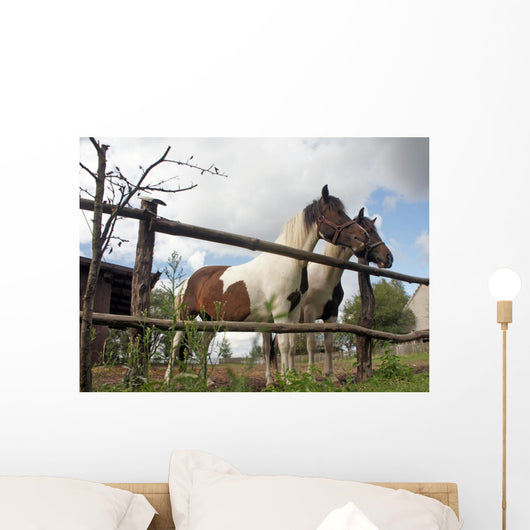 Horses Wall Mural
