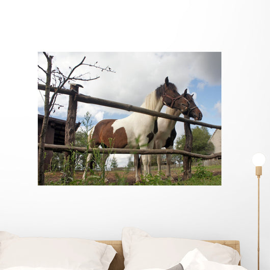 Horses Wall Mural