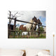 Horses Wall Mural