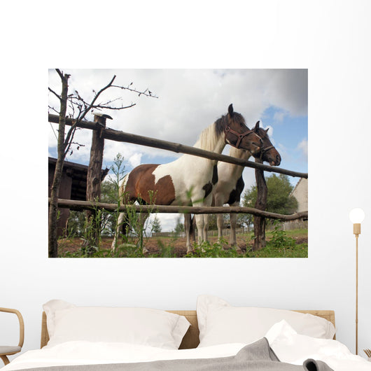 Horses Wall Mural